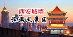 黄片肏逼真人视频中国陕西-西安城墙旅游风景区